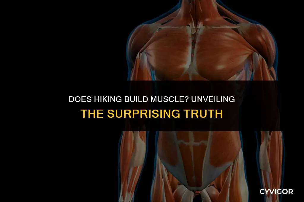 does hiking build muscle
