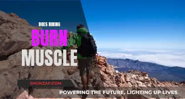 Hiking: Burning Muscle or Myth?