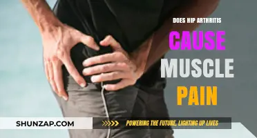 Hip Arthritis: Understanding the Link Between Joint and Muscle Pain