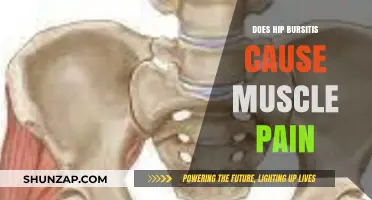 Hip Bursitis: Understanding the Link with Muscle Pain