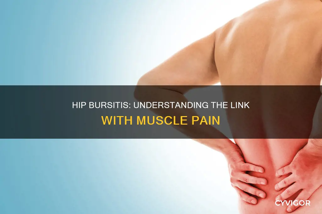 does hip bursitis cause muscle pain