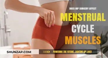 Exploring the Impact of Hip Surgery on Menstrual Cycle and Core Muscles