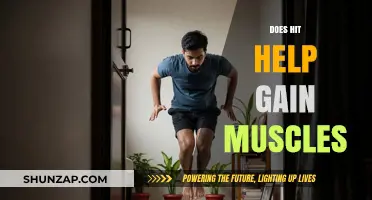Does HIIT Training Effectively Build Muscle Mass? A Comprehensive Analysis