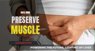 HMB's Muscle-Preserving Powers: Fact or Fiction?