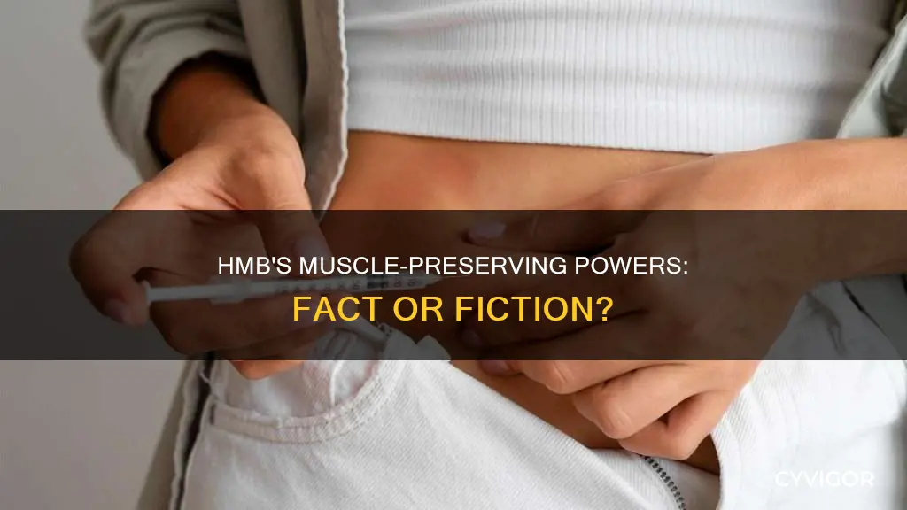 does hmb preserve muscle