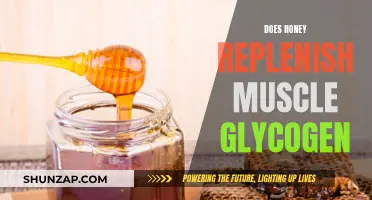 Honey's Impact on Muscle Glycogen: Replenishment and Performance