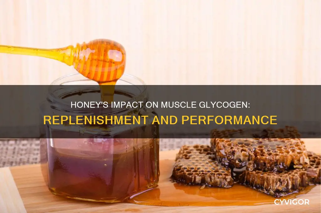 does honey replenish muscle glycogen