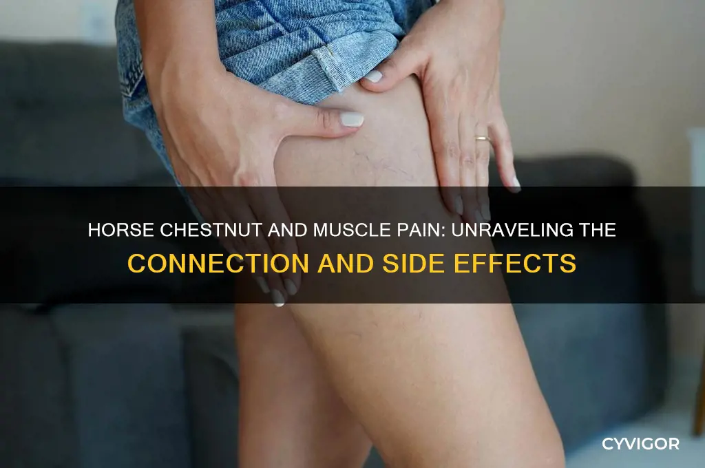 does horse chestnut casue muscle pain