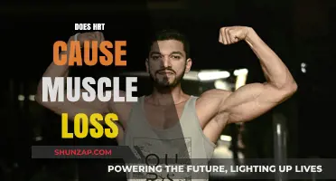 HRT and Muscle Loss: What's the Truth?
