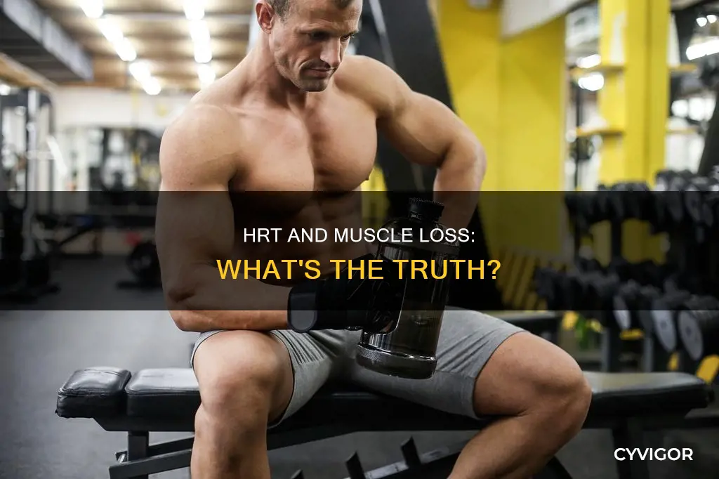 does hrt cause muscle loss