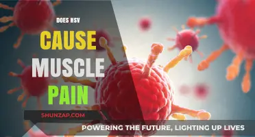 HSV and Muscle Pain: Is There a Link?