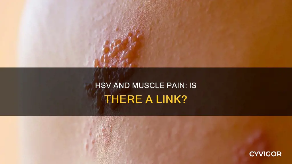 does hsv cause muscle pain