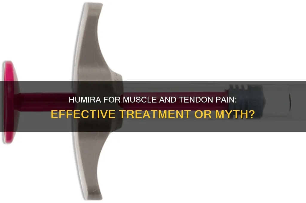 does humeria treat muscle or tendon pain
