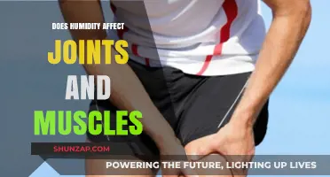 Humidity's Impact on Joints and Muscles: What You Need to Know