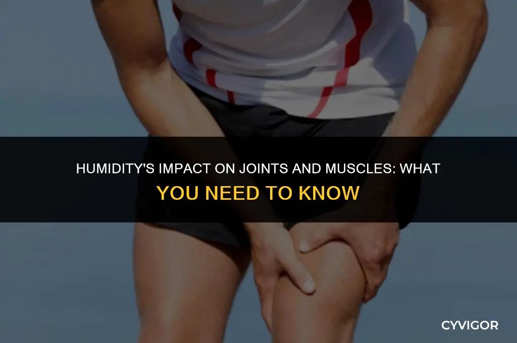 does humidity affect joints and muscles