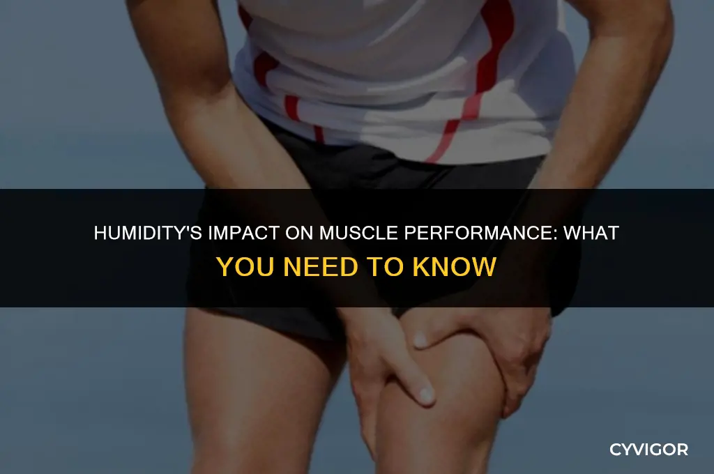 does humidity affect muscles