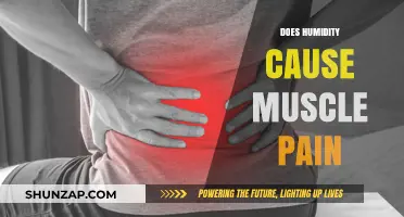 Humidity's Link to Muscle Pain: What You Need to Know