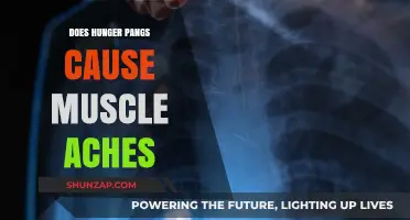 Hunger Pangs: Do They Cause Muscle Aches?