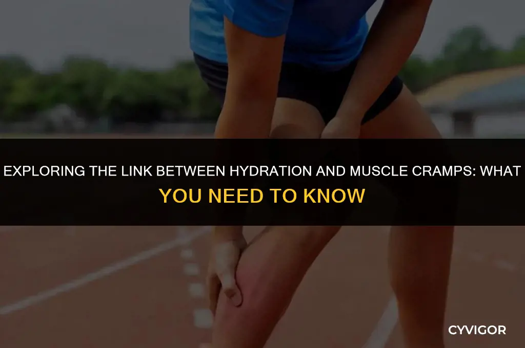does hydration have any influence on muscle cramps