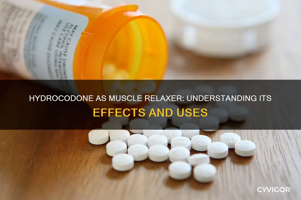 does hydrocodone act like a muscle relaxer