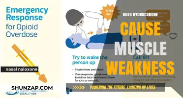 Hydrocodone's Impact: Muscle Weakness and You