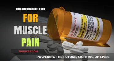 Hydrocodone for Muscle Pain: Effectiveness, Risks, and Alternatives Explained