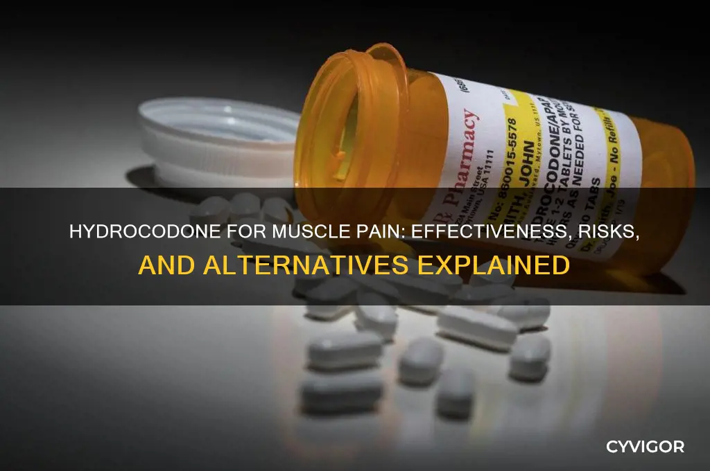 does hydrocodone work for muscle pain