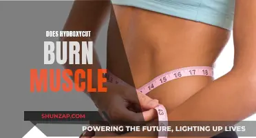 Hydroxycut's Muscle-Burning Effects: What You Need to Know