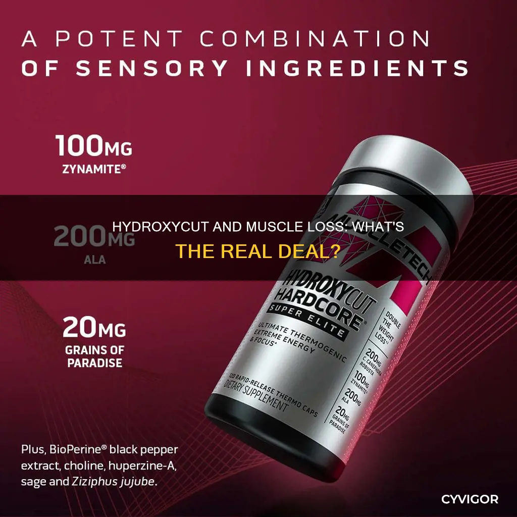 does hydroxycut cause muscle loss