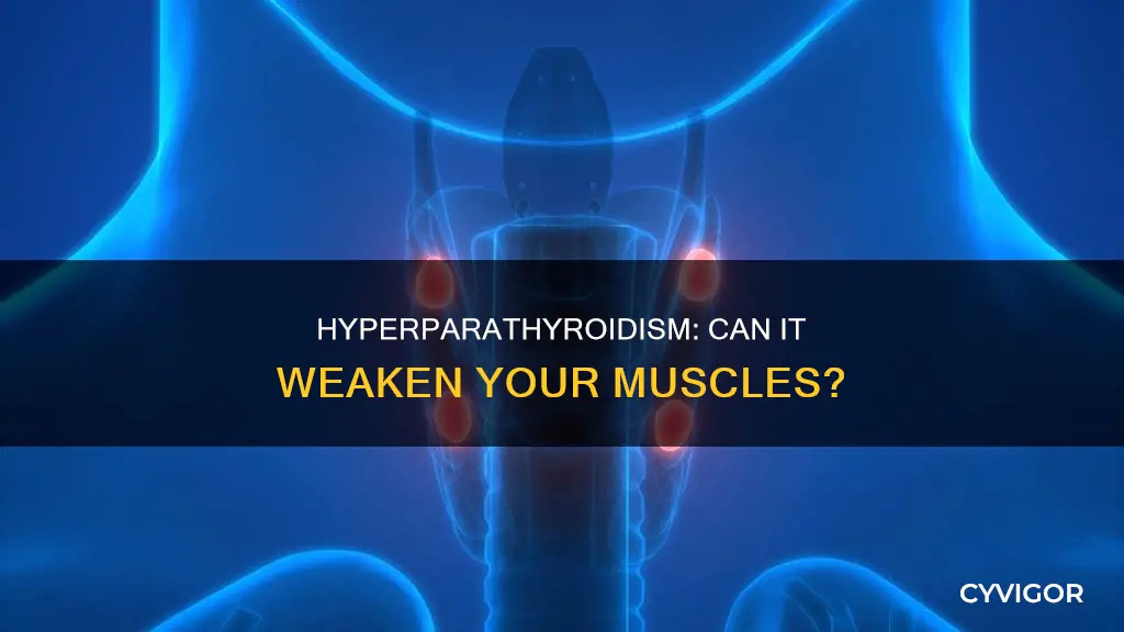 does hyperparathyroidism cause muscle weakness