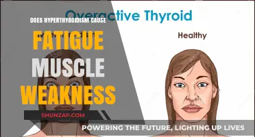 Hyperthyroidism: Fatigue and Muscle Weakness Explained