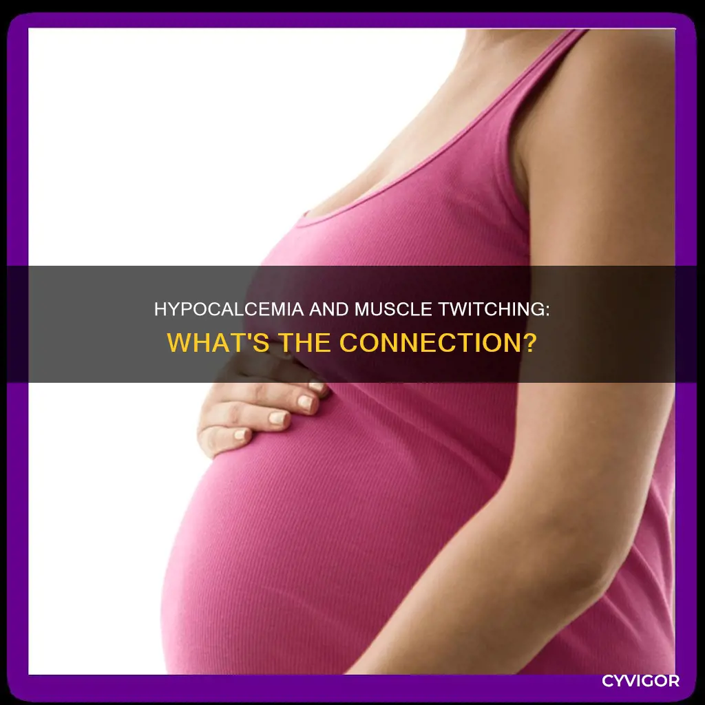 does hypocalcemia cause muscle twitching