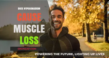 Hypogonadism: Muscle Loss and Treatment Options
