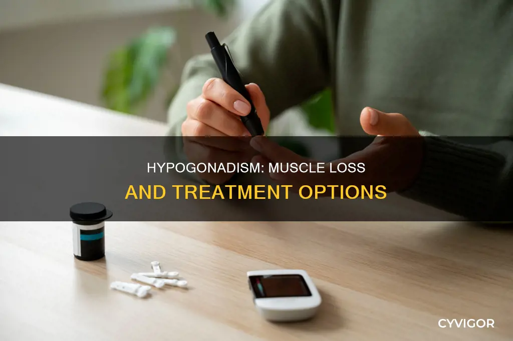 does hypogonadism cause muscle loss
