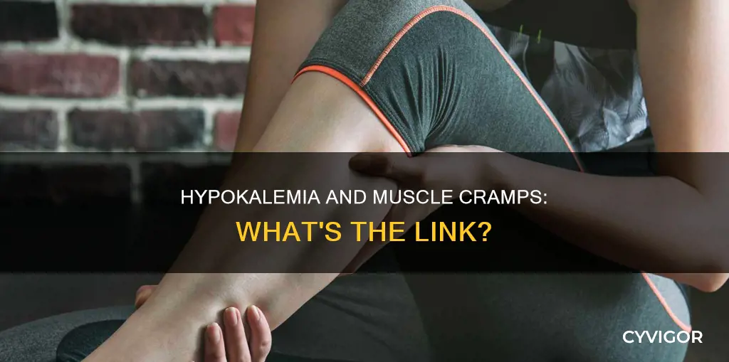 does hypokalemia cause muscle cramps