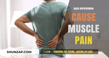 Hypothyroidism: Can It Cause Muscle Pain?
