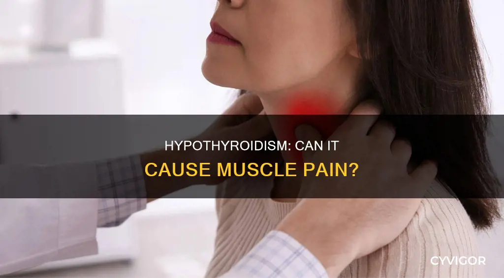 does hypothyroid cause muscle pain