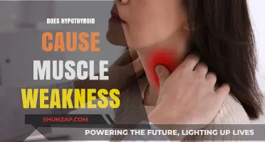 Hypothyroidism: Muscle Weakness and Fatigue Explained