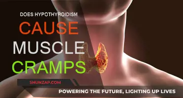 Hypothyroidism and Muscle Cramps: Is There a Link?