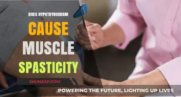 Hypothyroidism and Muscle Spasticity: Is There a Link?