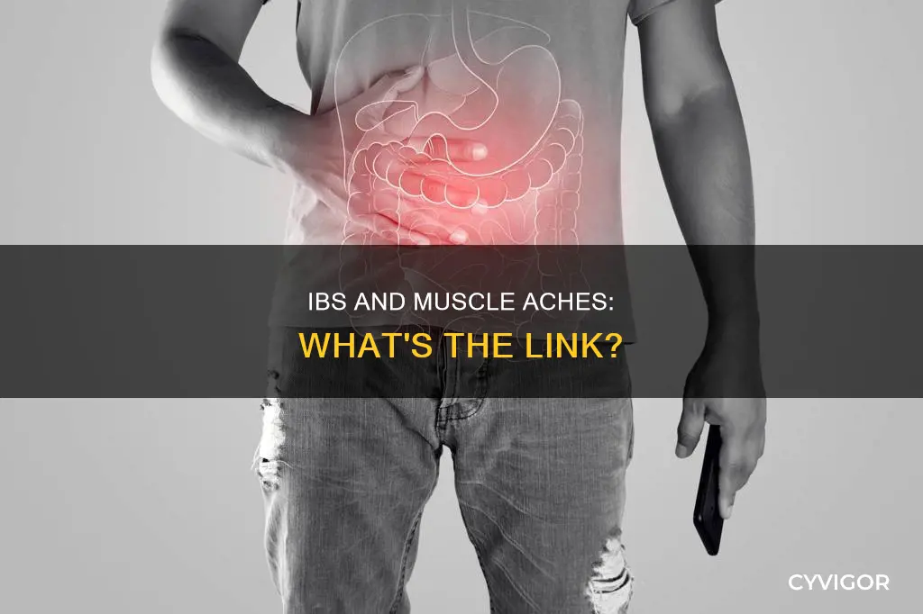 does ibs cause muscle aches
