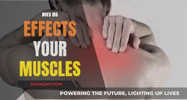 IBS and Muscle Health: What's the Connection?