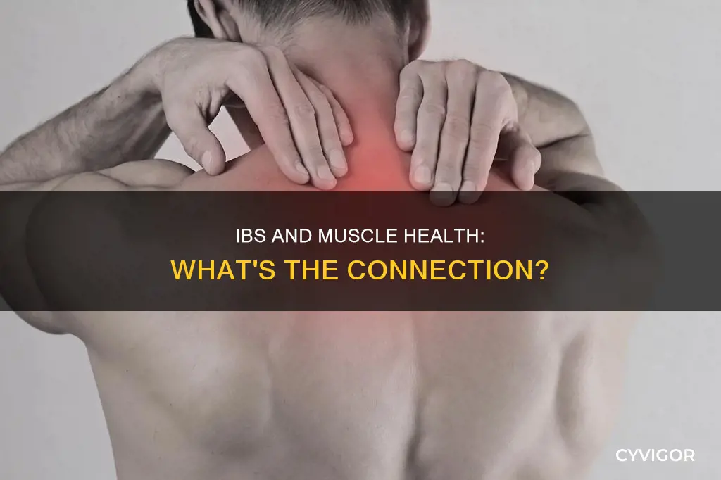 does ibs effects your muscles