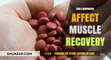 Exploring Ibuprofen's Impact on Muscle Recovery: What You Need to Know
