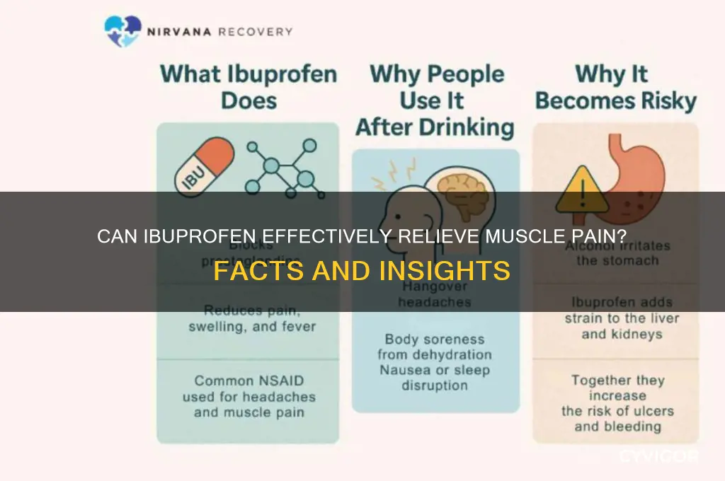 does ibuprofen cure muscle pain