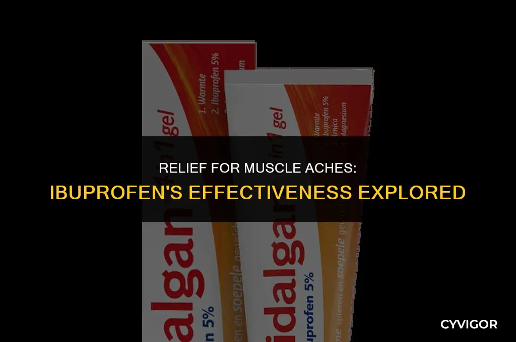 does ibuprofen get rid of muscle soreness