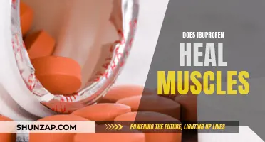 Ibuprofen's Impact: Muscle Healing and Recovery Explored