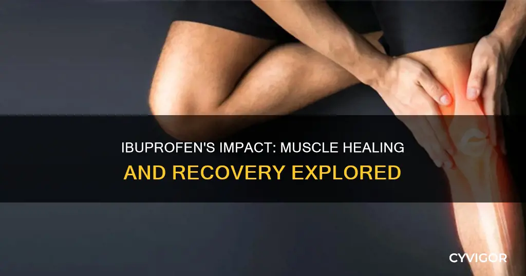 does ibuprofen heal muscles