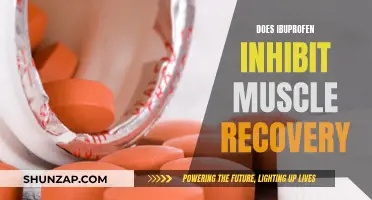 Ibuprofen's Impact: Muscle Recovery Inhibition or Performance Enhancement?