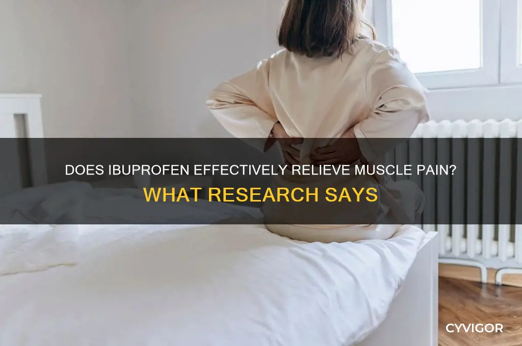 does ibuprofen work for muscle pain
